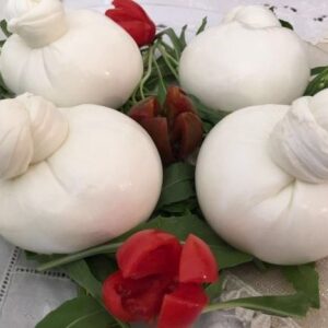 burrata-di-bufala-muzzarell-1
