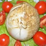 mozzarella-affumicata-muzzarell-1