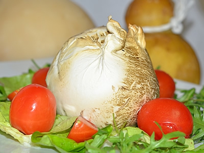 mozzarella-affumicata-muzzarell-2